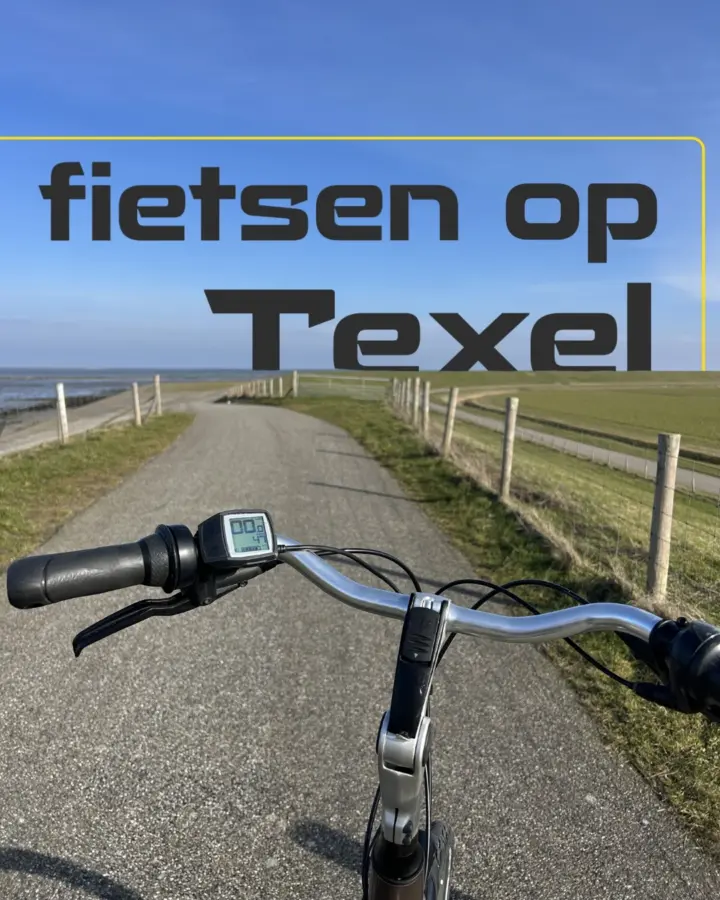 Fietsverhuur Texel, fietsers op de waddenzeedijk